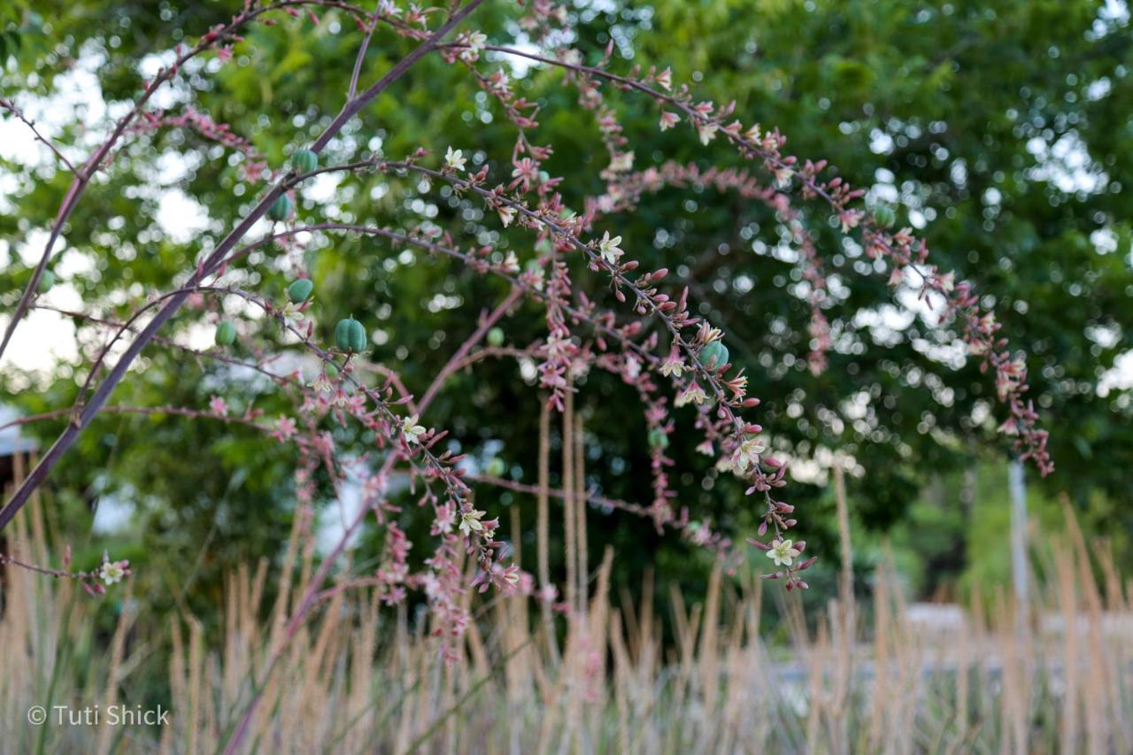 Mandara - Country Lodging Urim 外观 照片